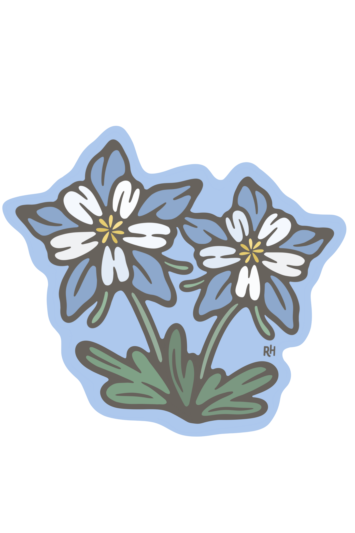 Colorado Columbine | Sticker